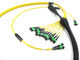 Сборки кабеля оптического волокна СМ ОМ3 ОМ4 МПО подгонянные для привязывать 40Г 100Г